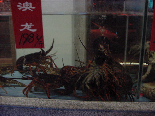 刺身で最高